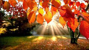 claves-operar-otoño