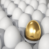 broker-operador-experto